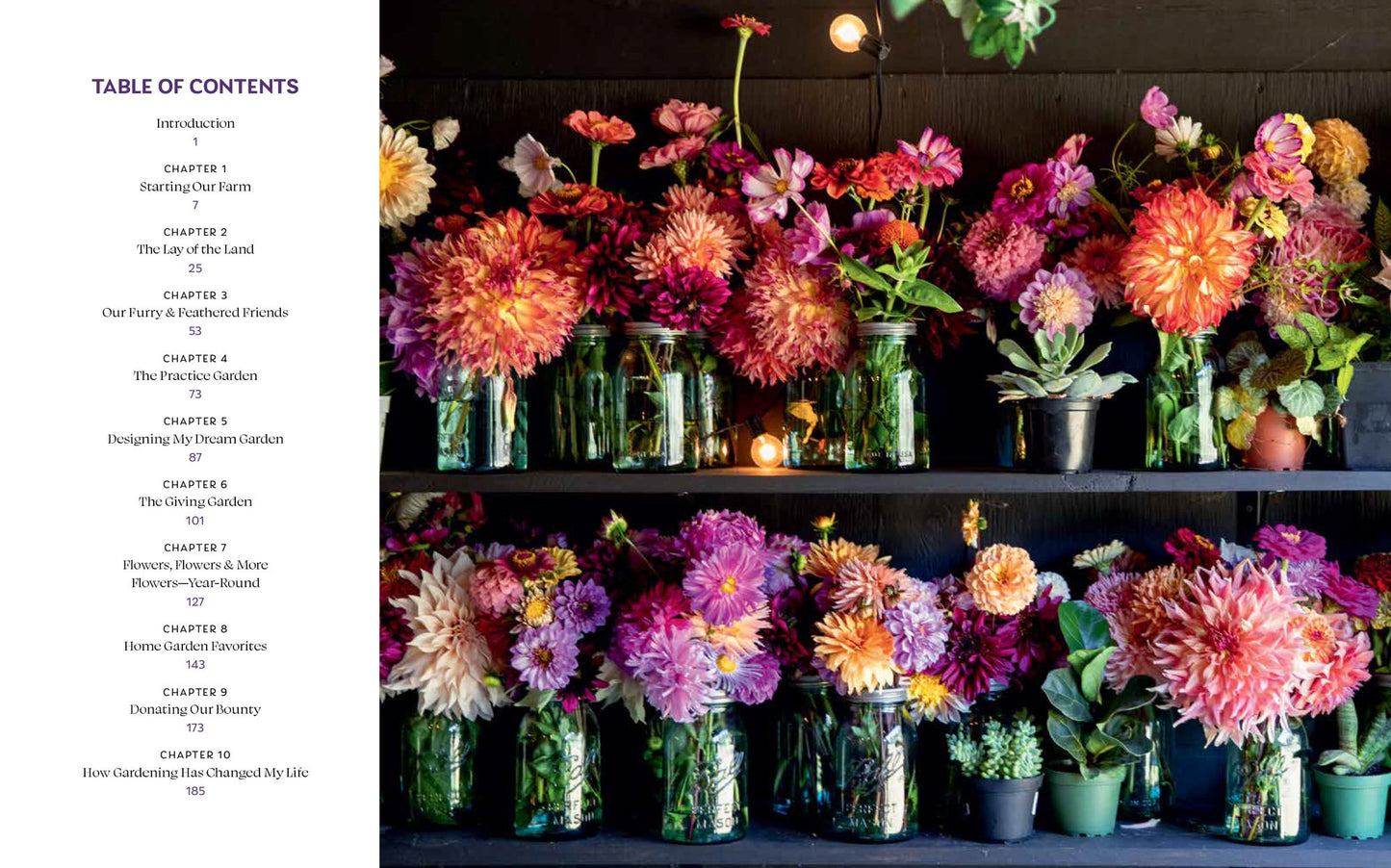 Blooms & Dreams: Cultivating Wellness, Generosity, & a Connection to the Land