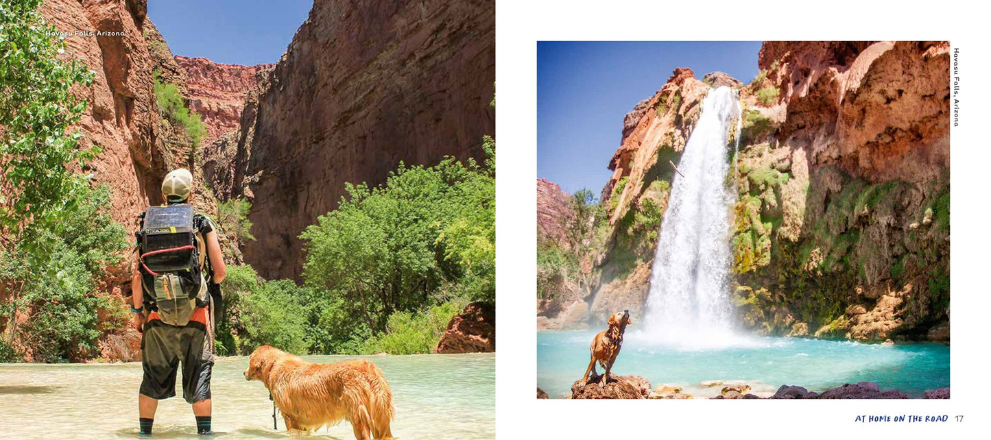 Life is Golden: What I've Learned from the World's Most Adventurous Dog