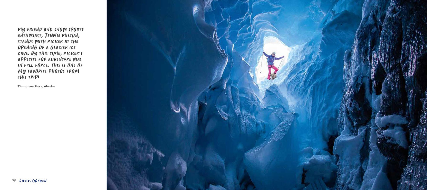 Life is Golden: What I've Learned from the World's Most Adventurous Dog
