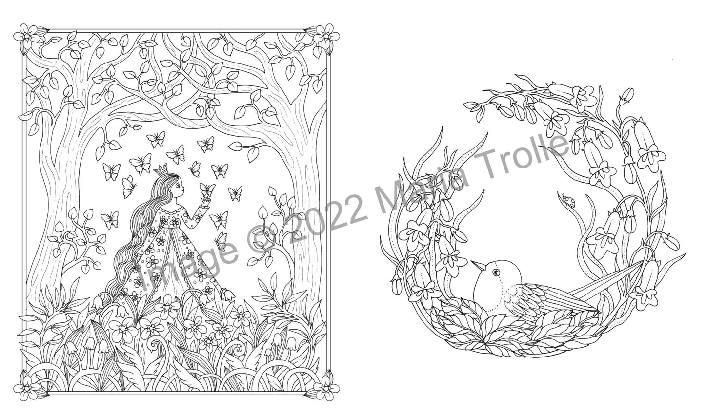 Moon Valley Coloring Book