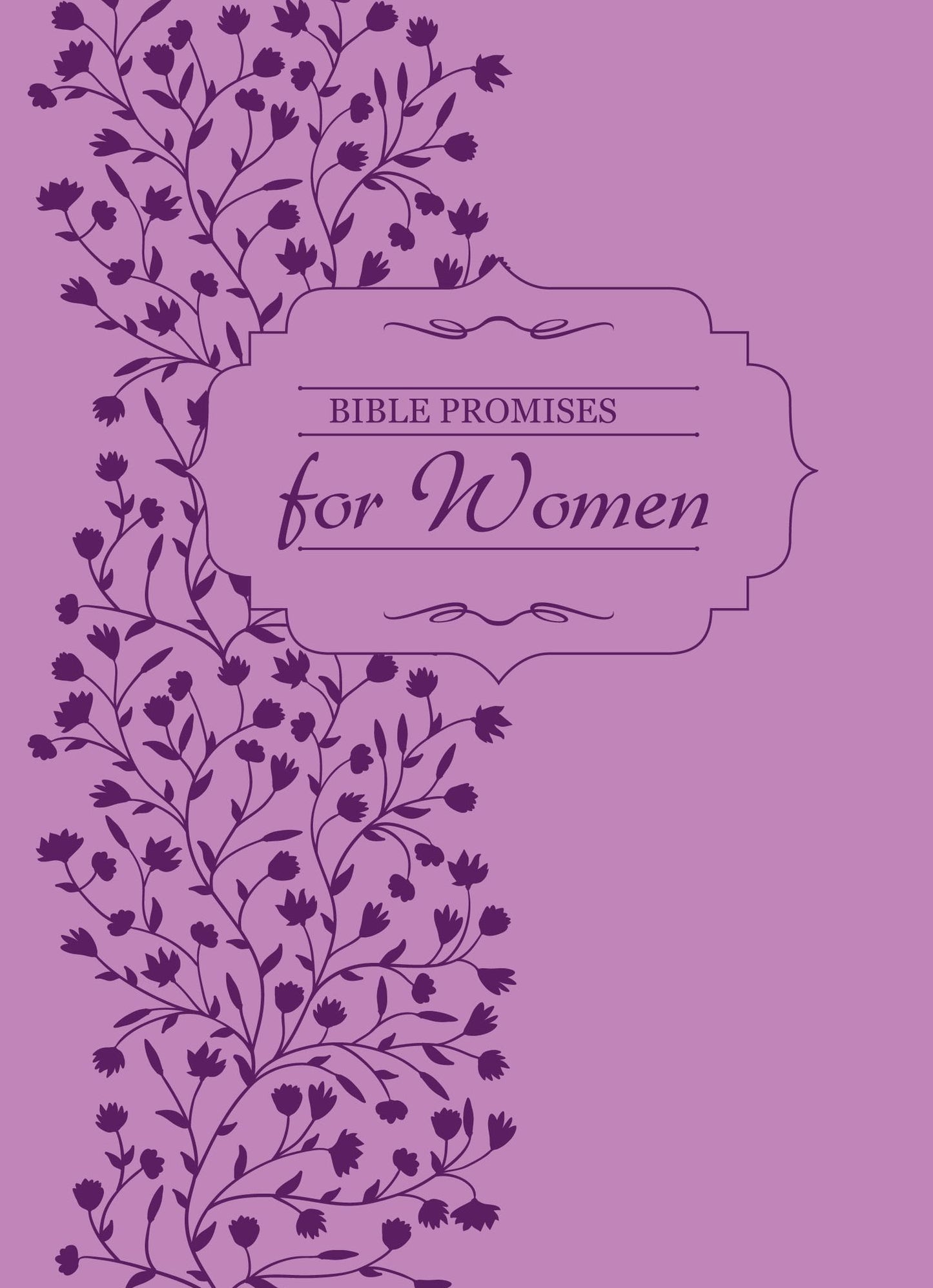 Bible Promises for Women