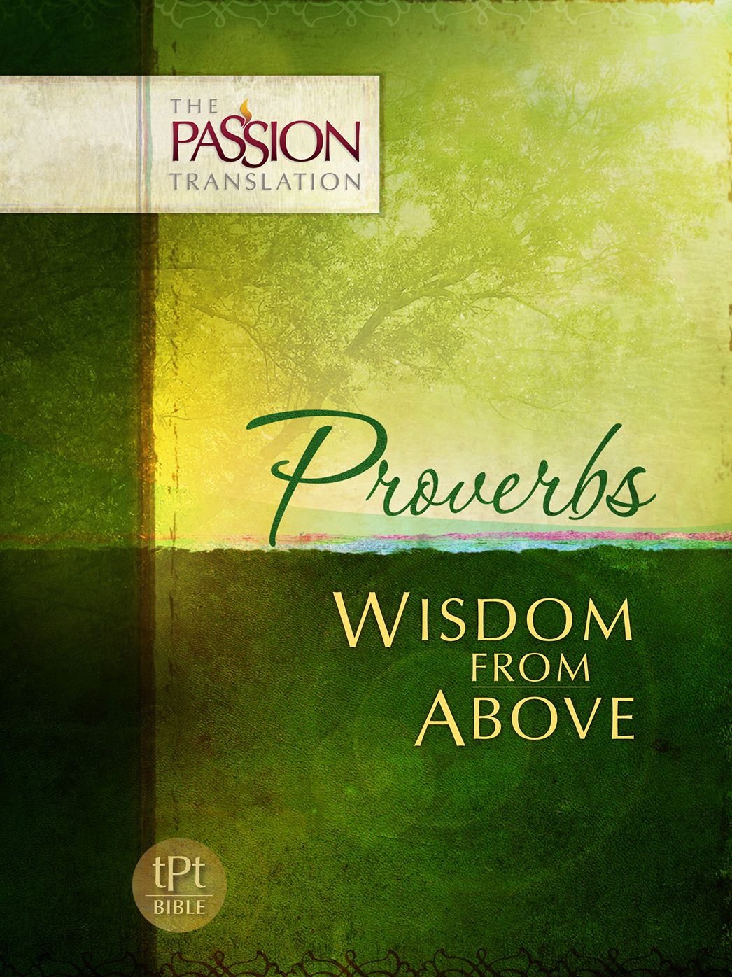 Proverbs: Wisdom From Above