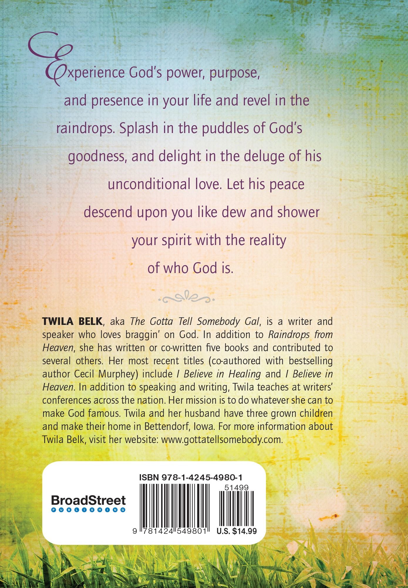 Raindrops from Heaven: Gentle Reminders of God's Power, Presence and Purpose