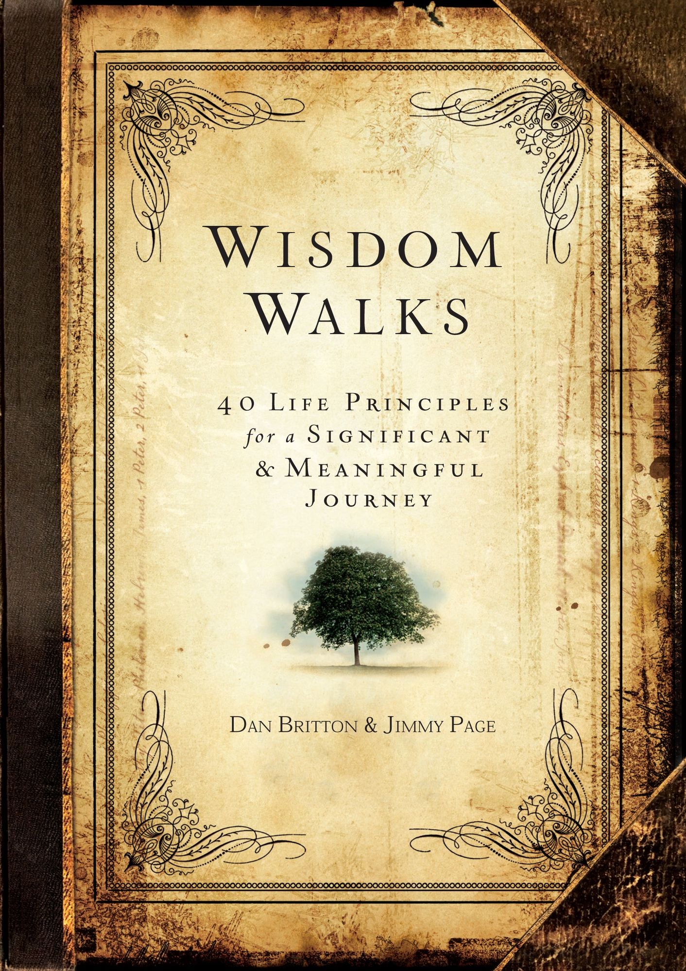WisdomWalks: 40 Life Principles for a Significant and Meaningful Journey