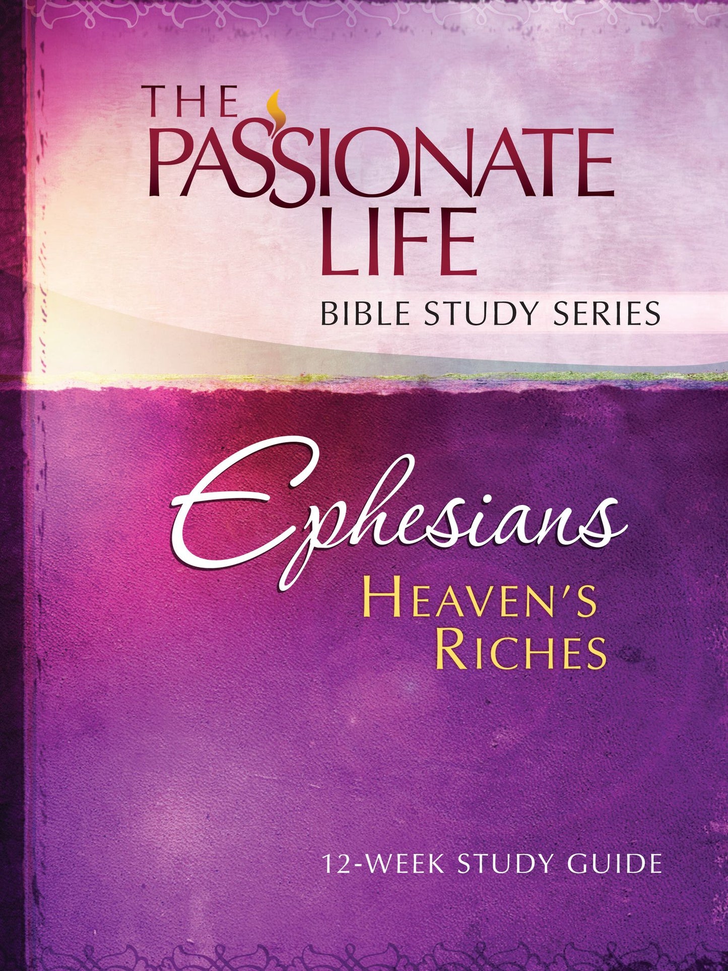 Ephesians: Heaven's Riches 12-week Study Guide: The Passionate Life Bible Study Series