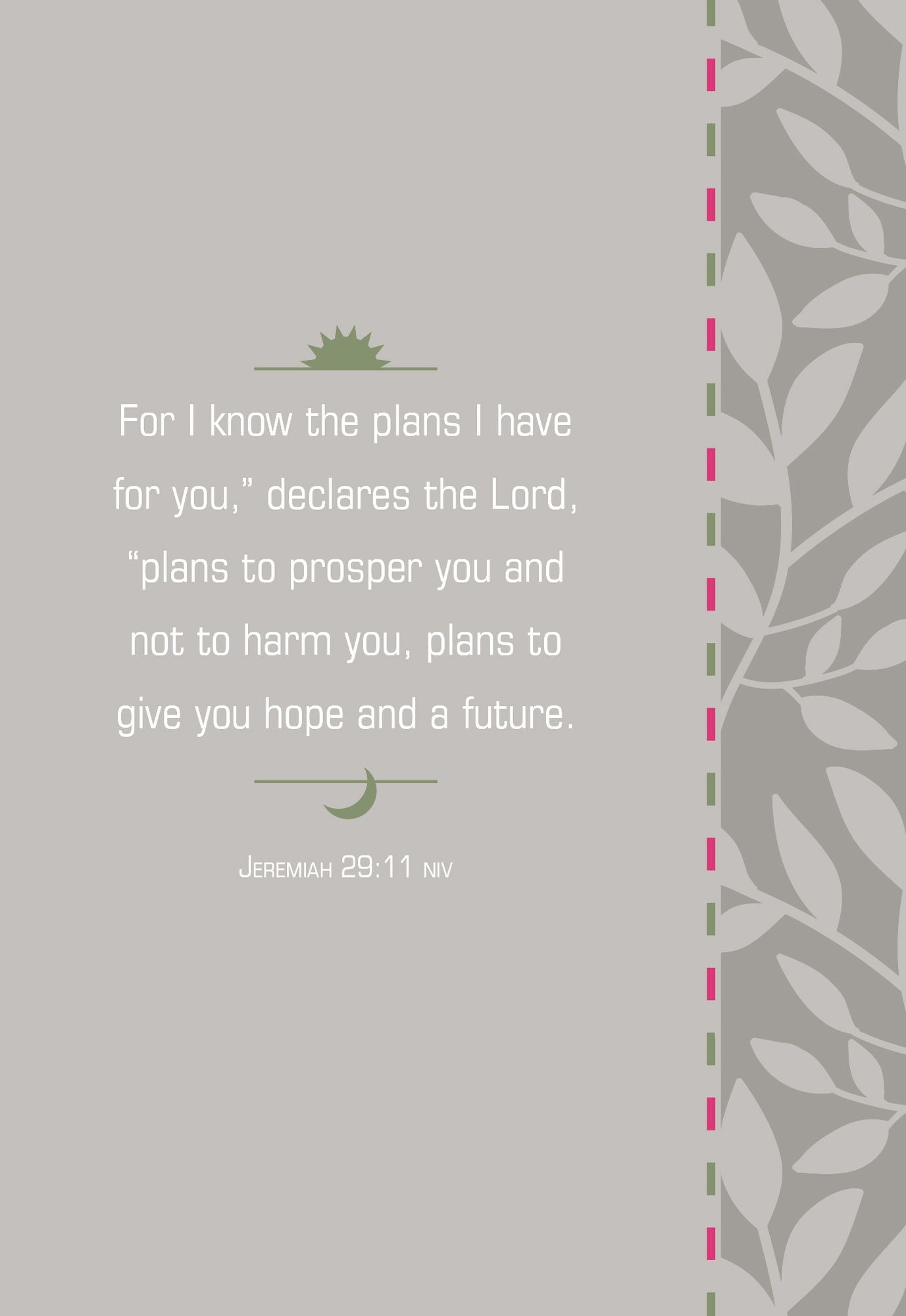 For I Know the Plans (Morning & Evening devotional)