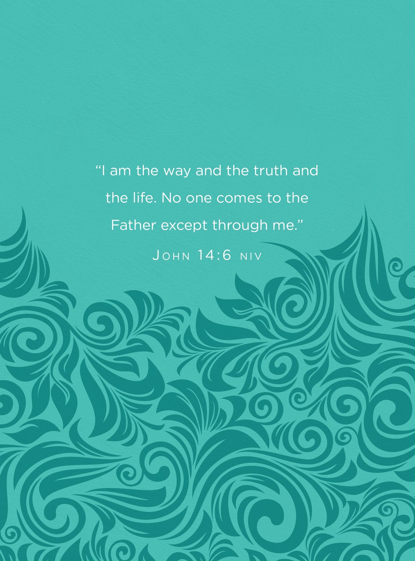Jesus in Red: 365 Meditations on the Words of Jesus