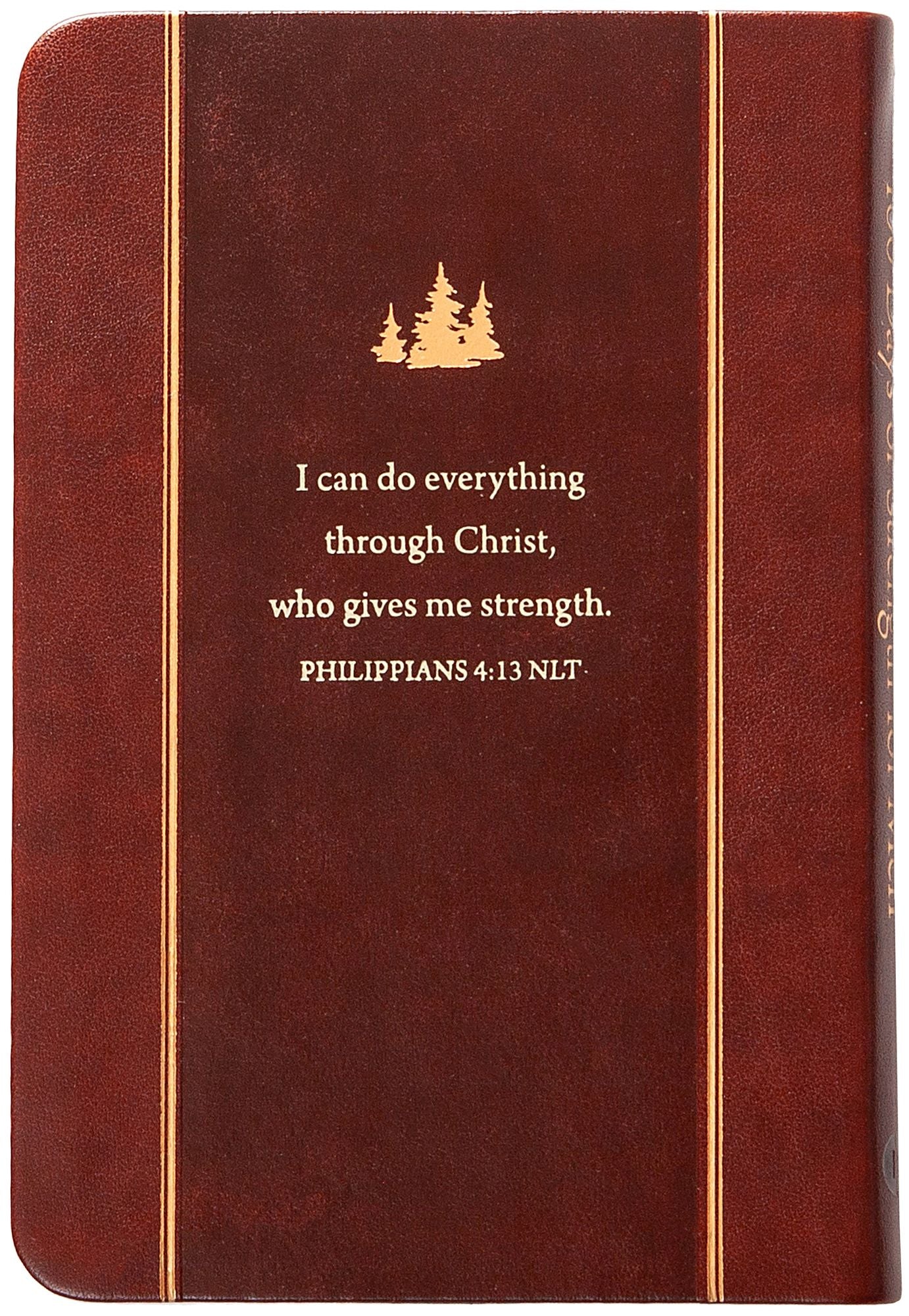 100 Days of Strength for Men: Pocketbooks by Broadstreet