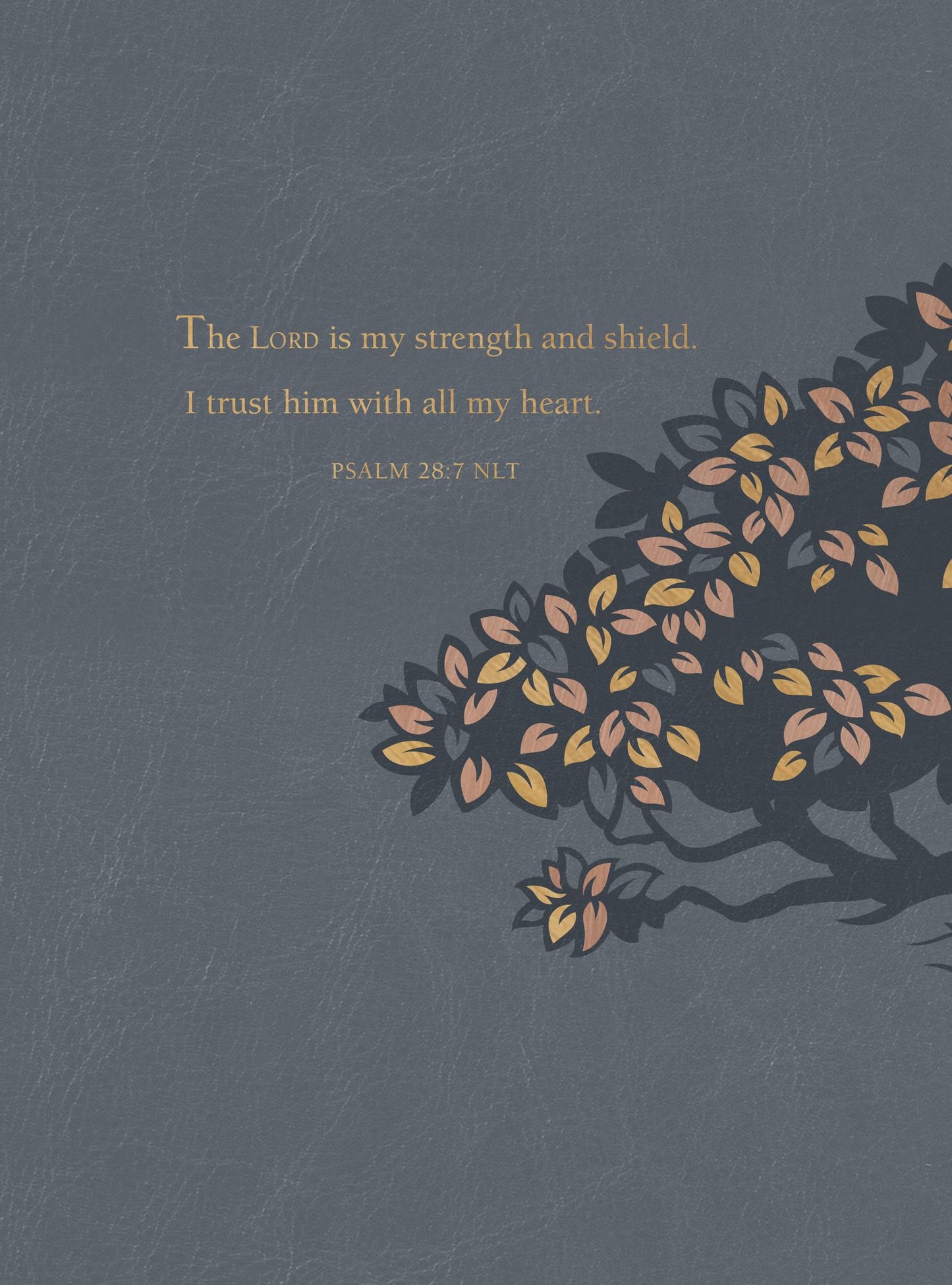 Strength for Life: 365 Daily Devotions for Men