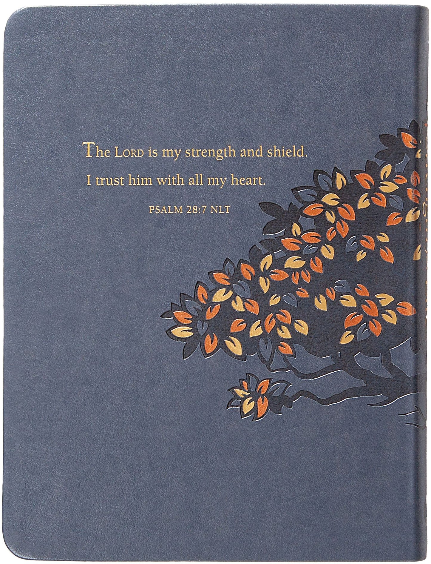 Strength for Life: 365 Daily Devotions for Men