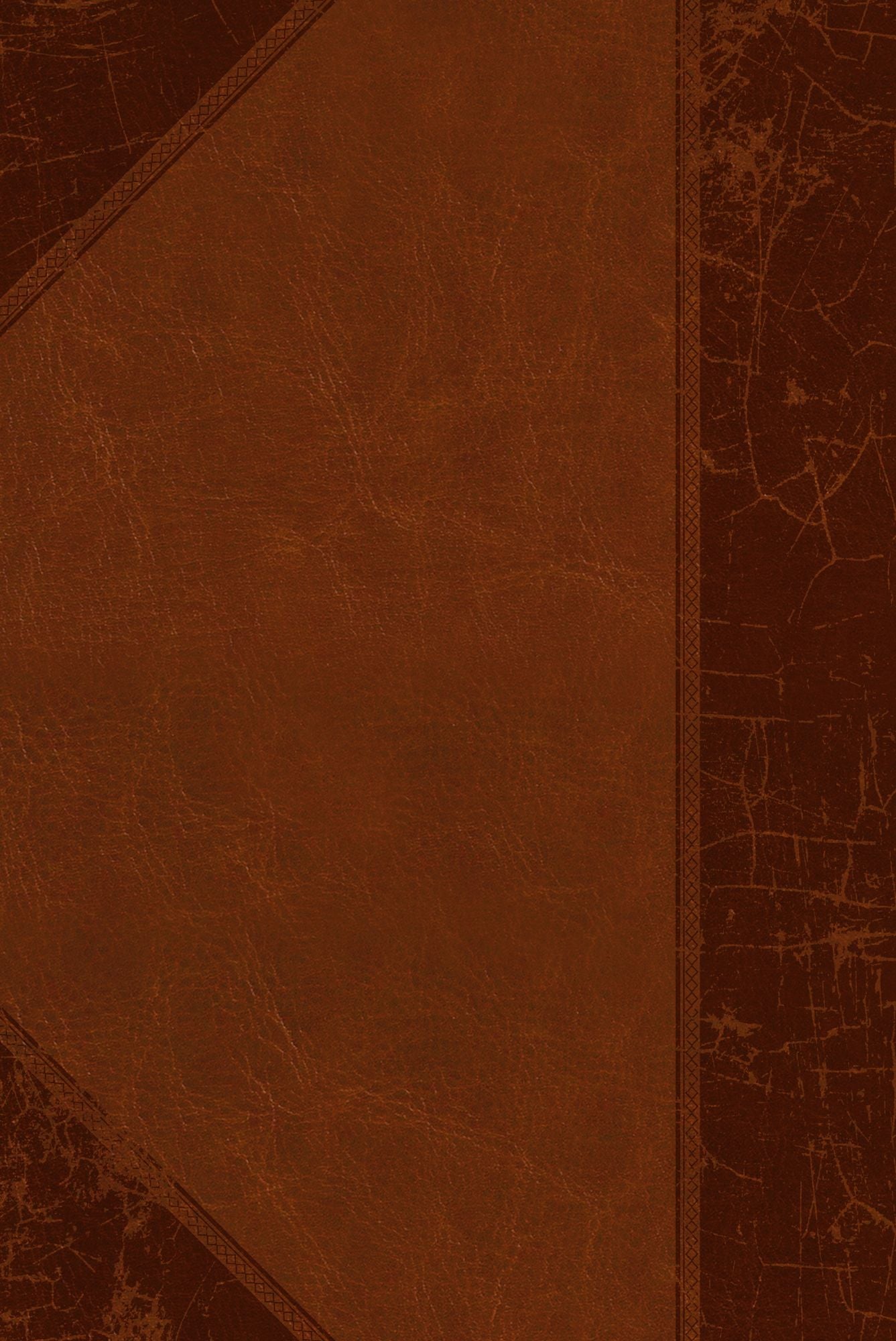 The Books of The Prophets: God's Messengers (The Passion Translation) Brown