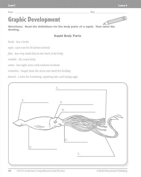 Nonfiction Comprehension Test Practice: Level 3