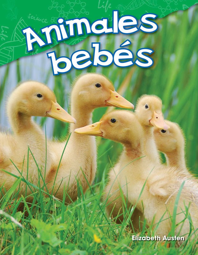 Animales bebés (Baby Animals) (Spanish Version)
