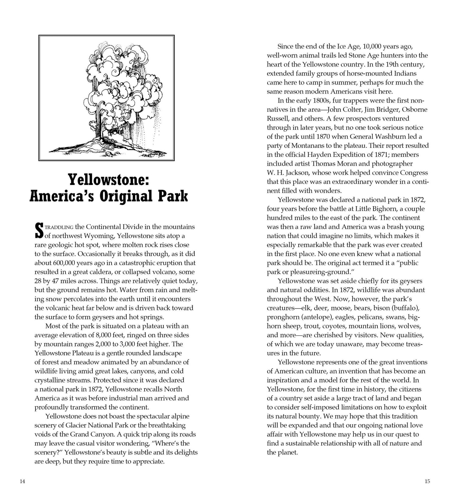 National Geographic Yellowstone and Grand Teton National Parks Road Guide: The Essential Guide for Motorists