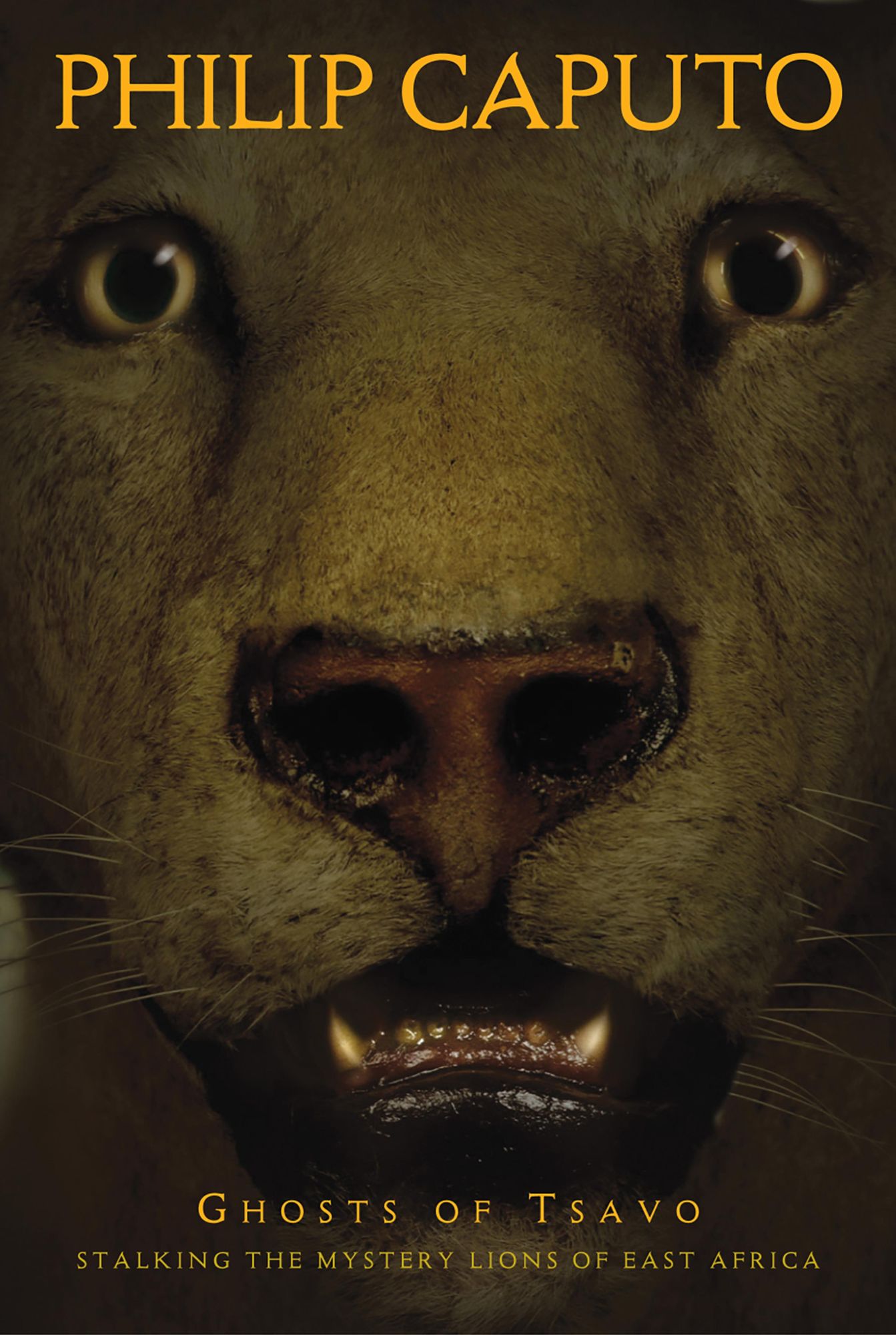 Ghosts of Tsavo: Stalking the Mystery Lions of East Africa