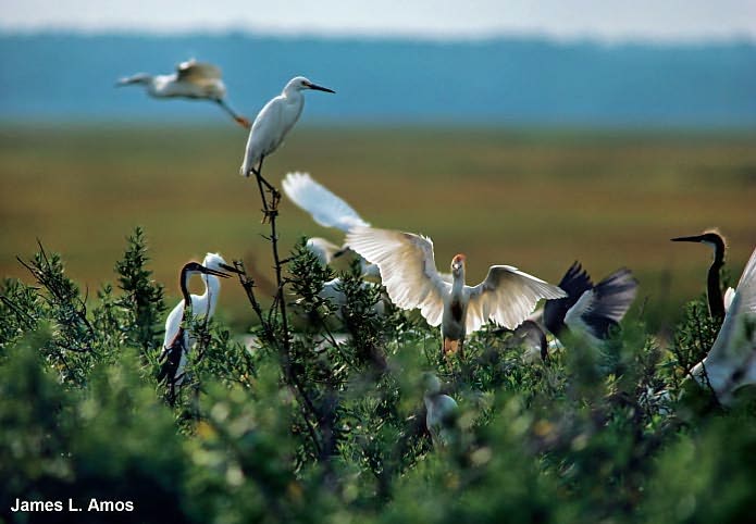 The 10 Best of Everything National Parks: 800 Top Picks From Parks Coast to Coast