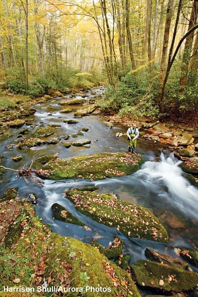 The 10 Best of Everything National Parks: 800 Top Picks From Parks Coast to Coast