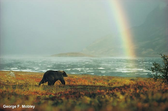The 10 Best of Everything National Parks: 800 Top Picks From Parks Coast to Coast