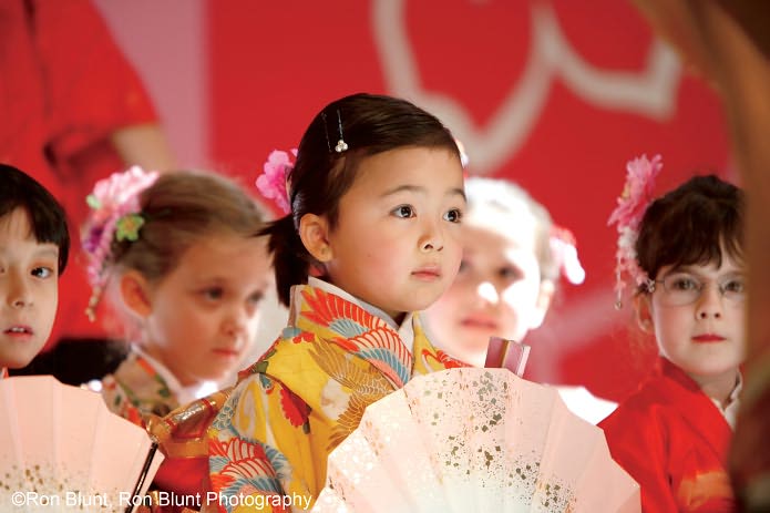 Cherry Blossoms: The Official Book of the National Cherry Blossom Festival