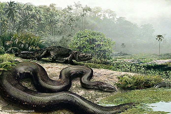 National Geographic Tales of the Weird: Unbelievable True Stories