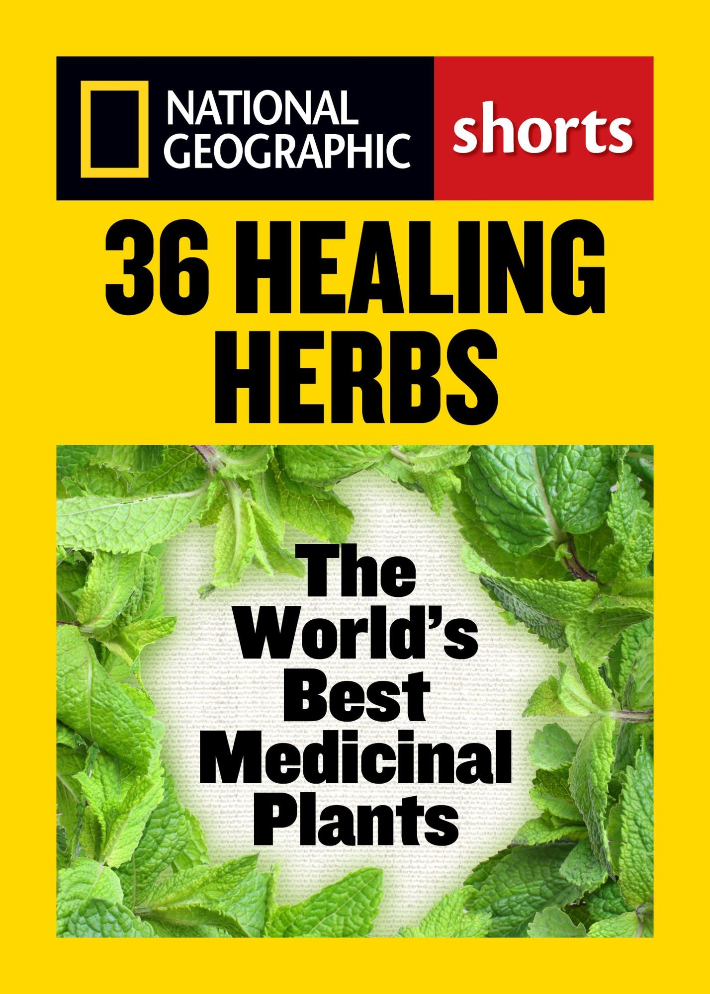 36 Healing Herbs: The World's Best Medicinal Plants