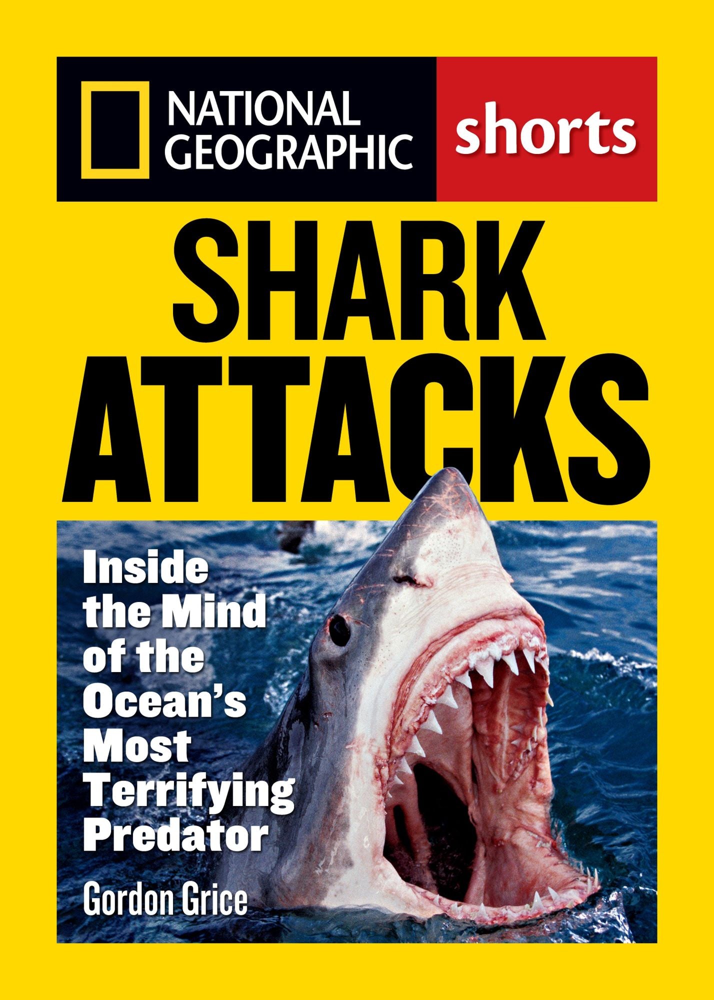 Shark Attacks: Inside the Mind of the Ocean's Most Terrifying Predator