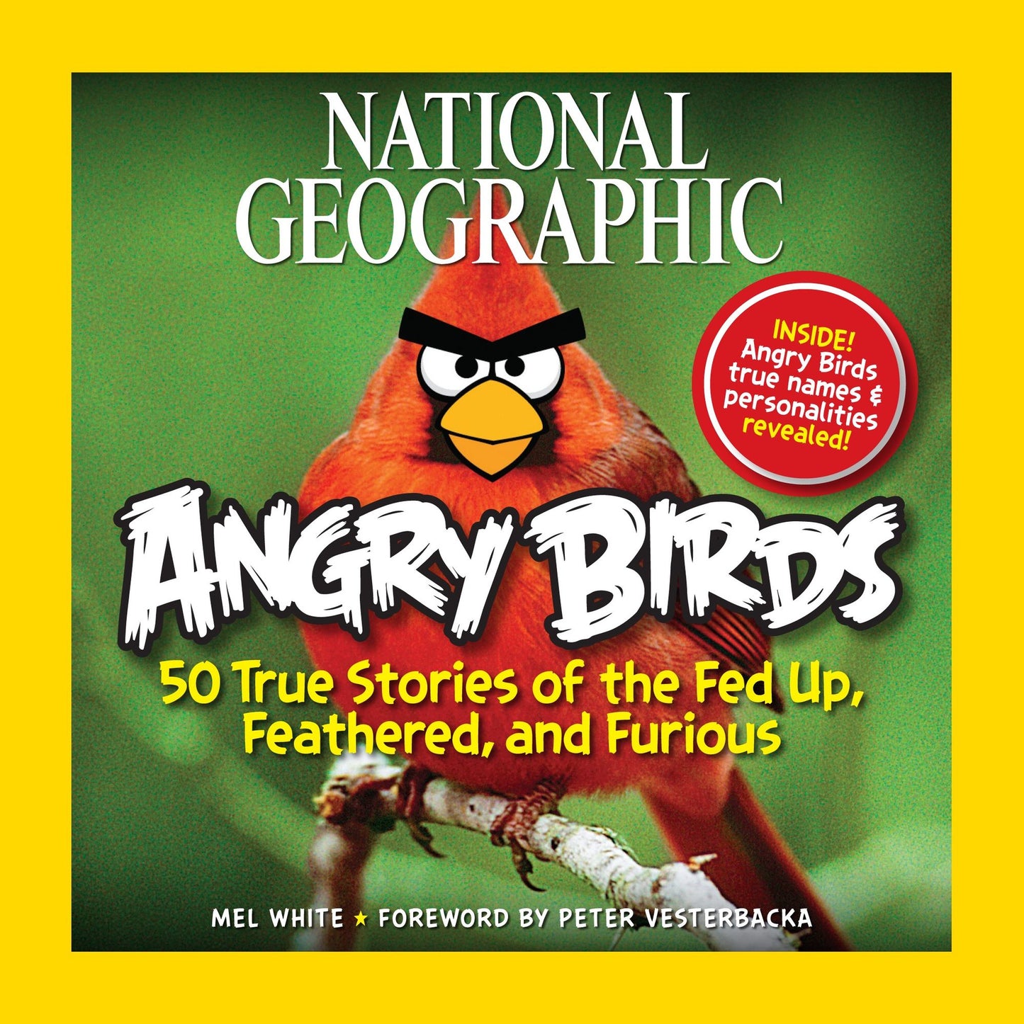 National Geographic Angry Birds: 50 True Stories of the Fed Up, Feathered, and Furious (PagePerfect NOOK Book)