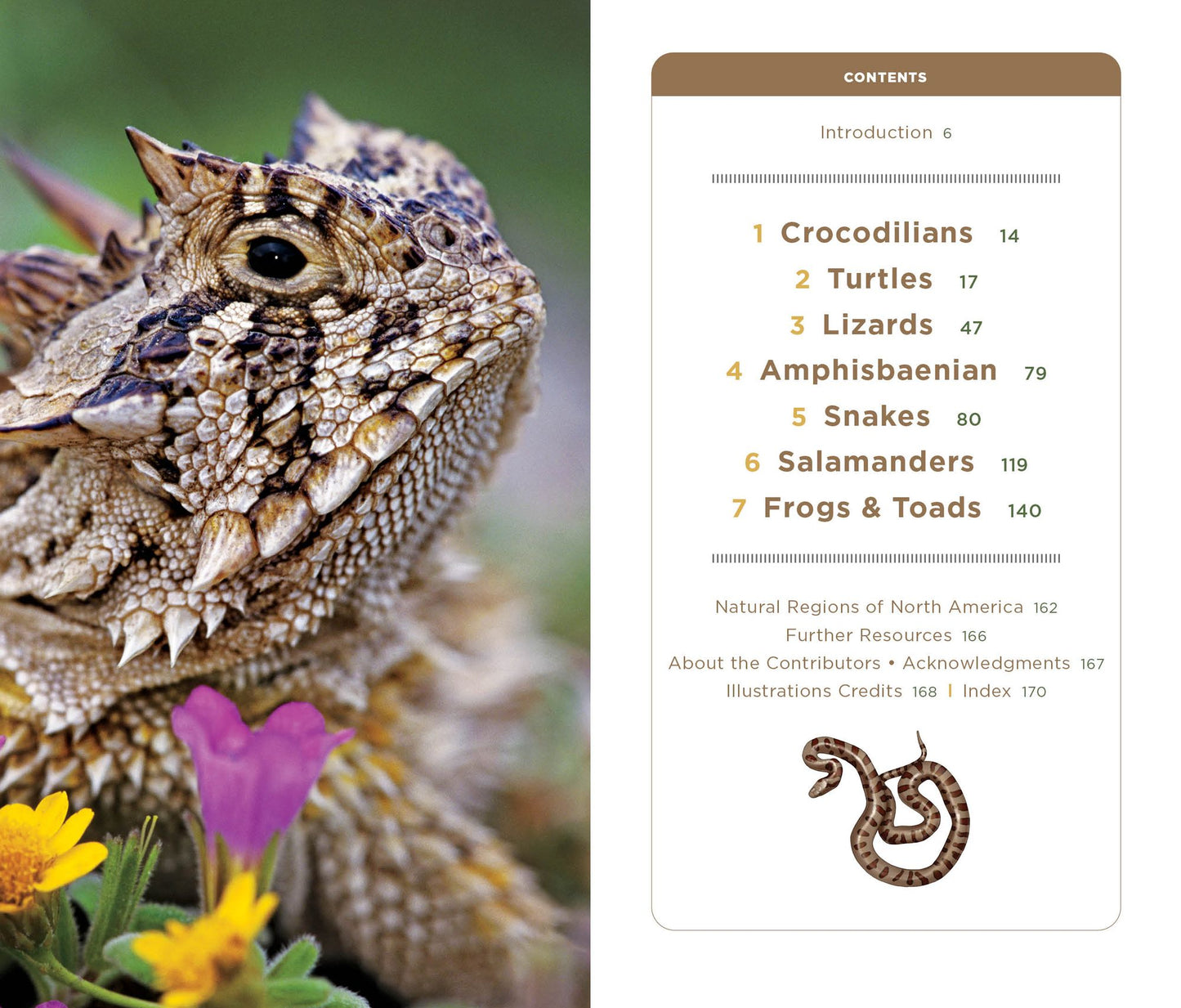 National Geographic Pocket Guide to Reptiles and Amphibians of North America