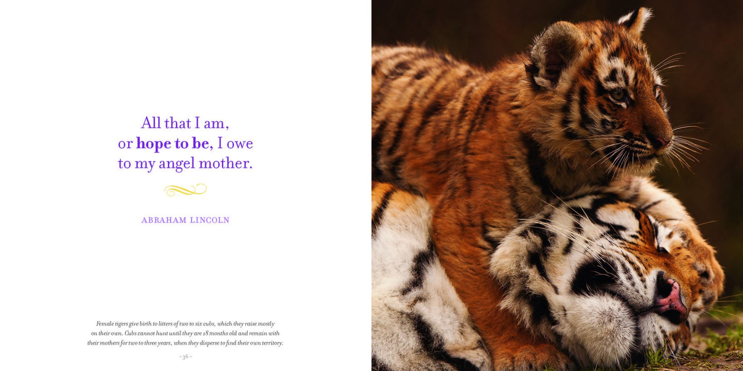 Amazing Moms: Love and Lessons From the Animal Kingdom
