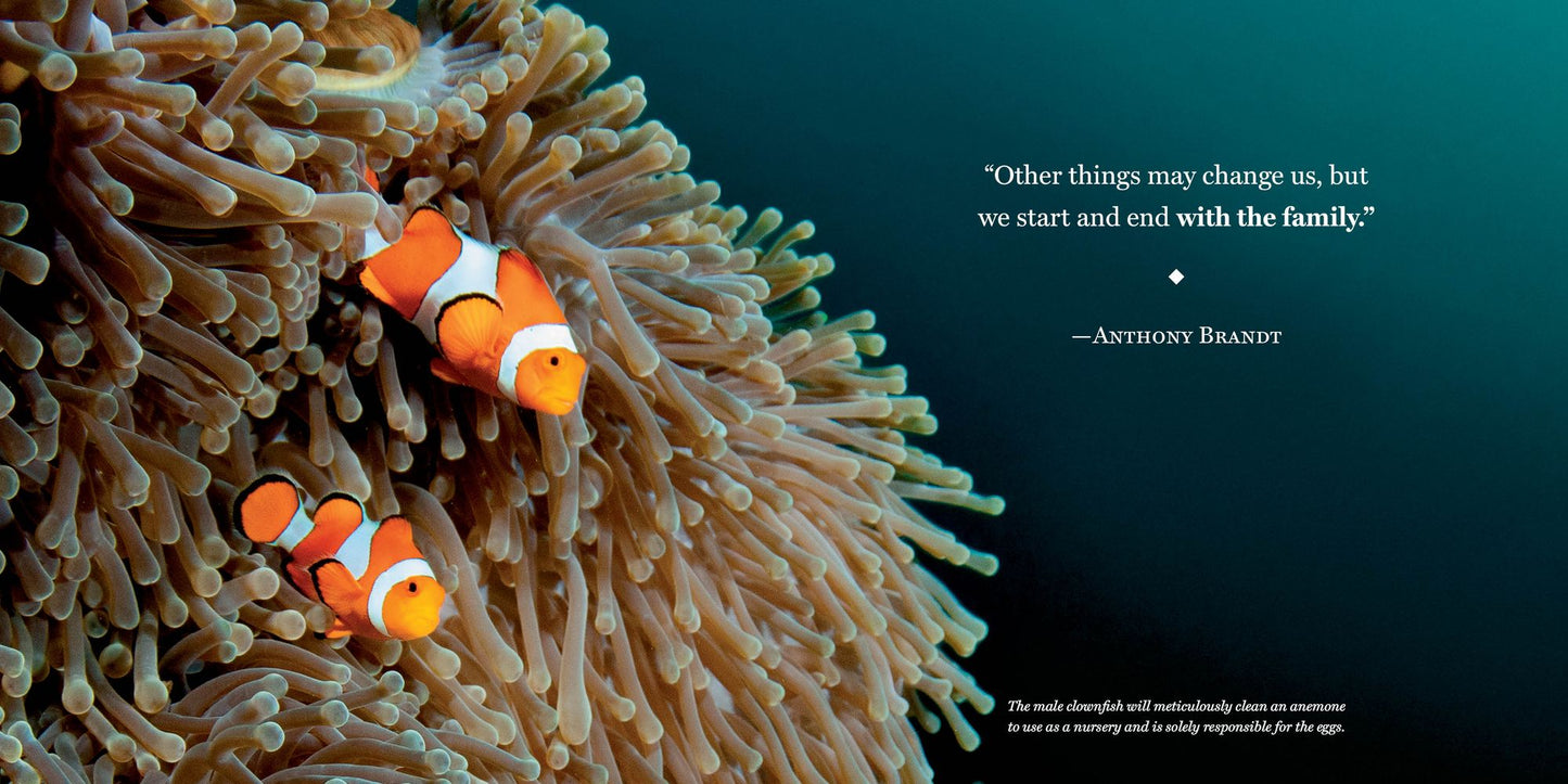Amazing Dads: Love and Lessons From the Animal Kingdom