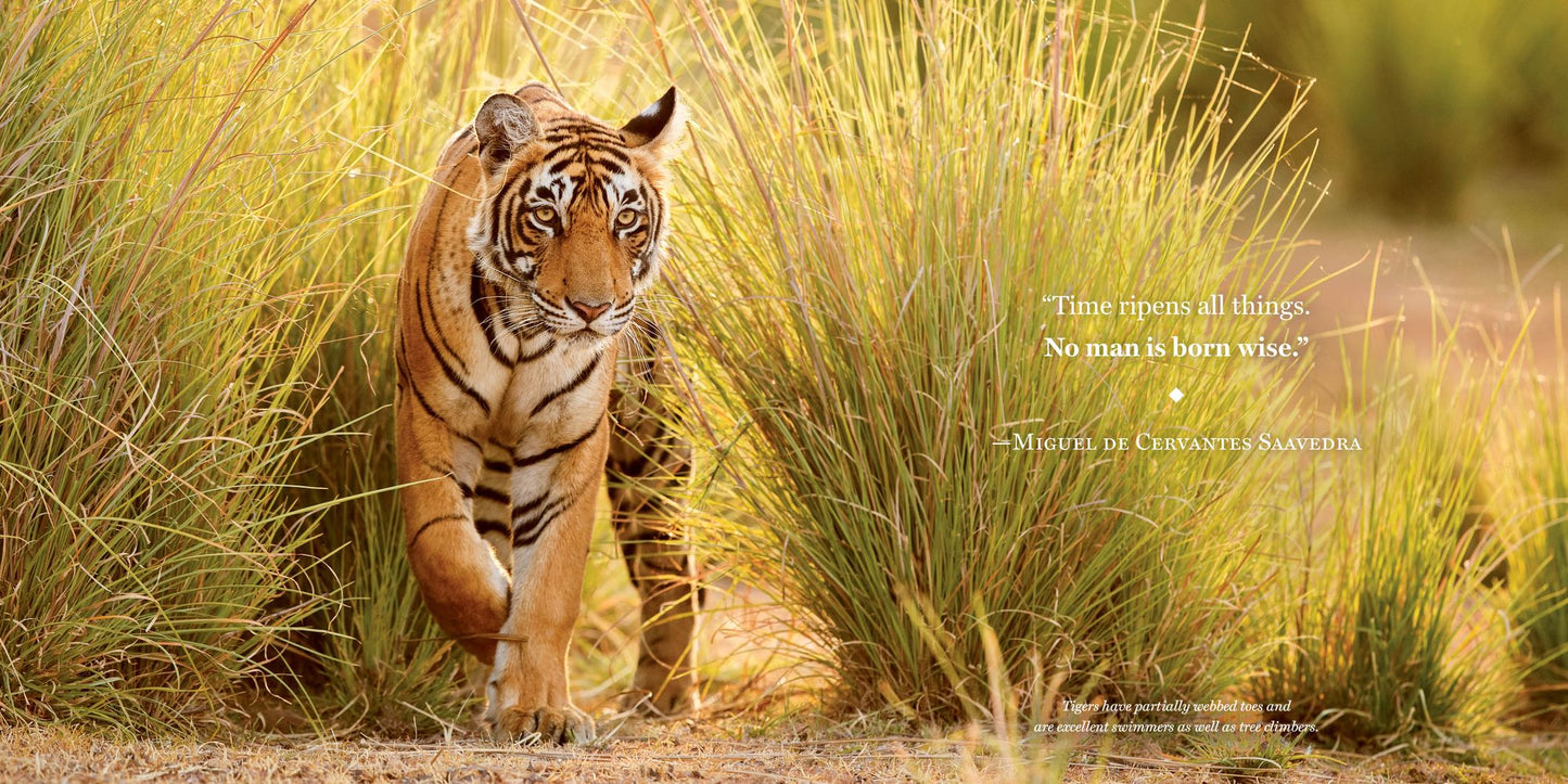 Amazing Dads: Love and Lessons From the Animal Kingdom