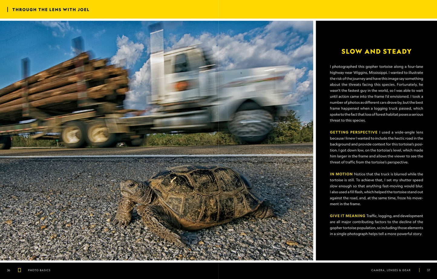 National Geographic Photo Basics: The Ultimate Beginner's Guide to Great Photography