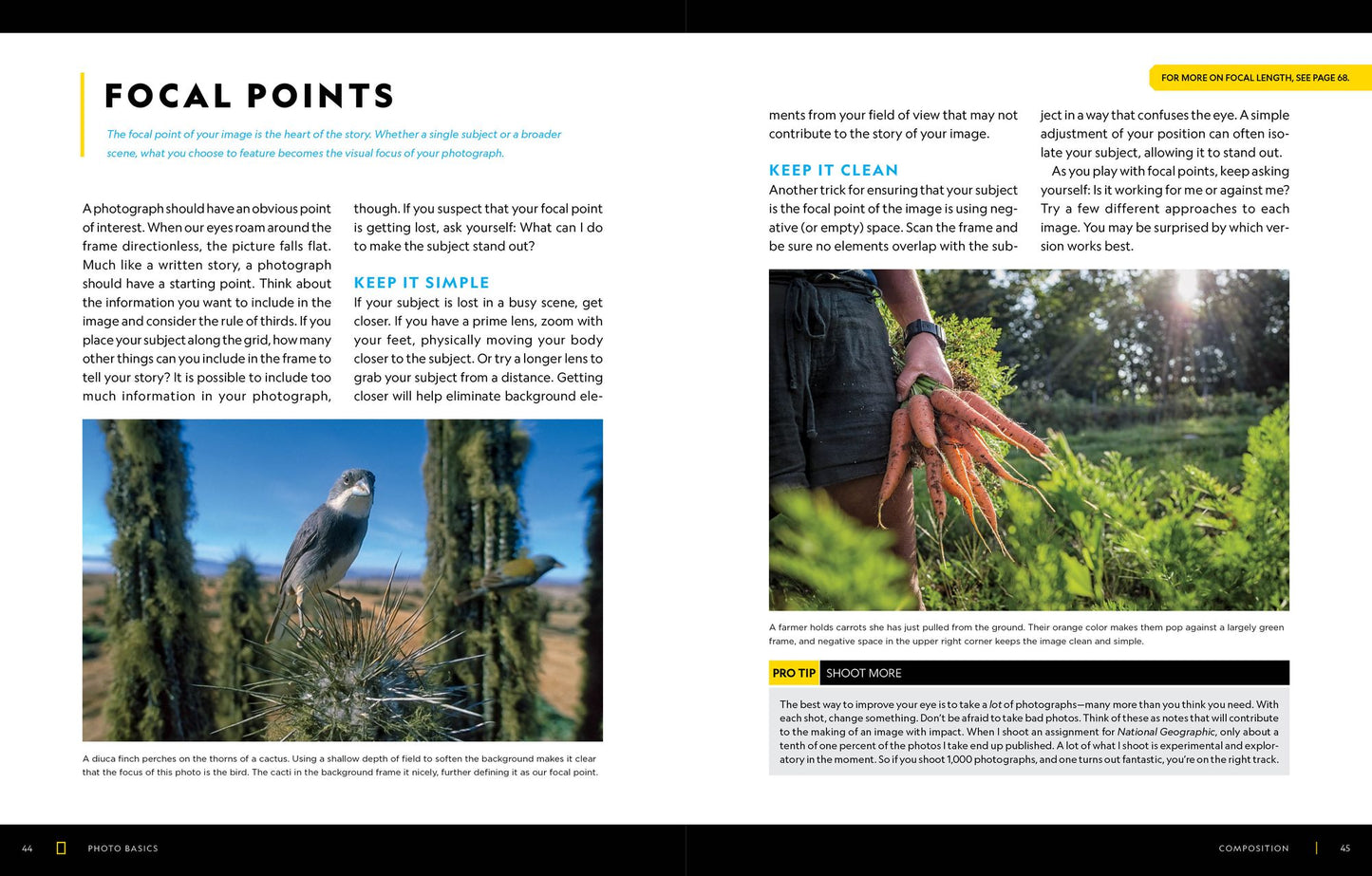 National Geographic Photo Basics: The Ultimate Beginner's Guide to Great Photography