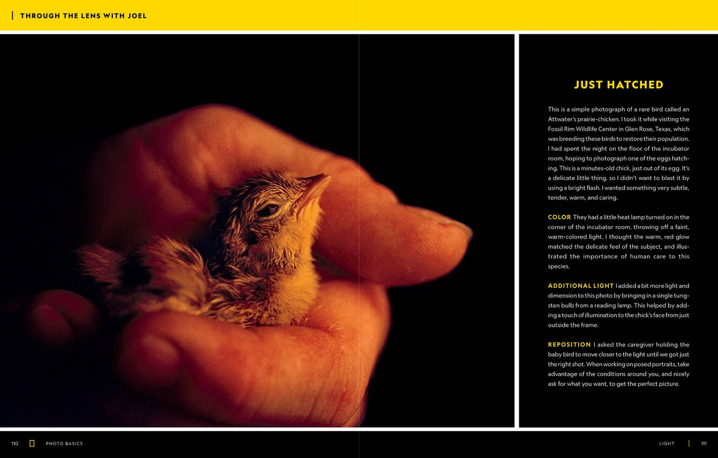National Geographic Photo Basics: The Ultimate Beginner's Guide to Great Photography