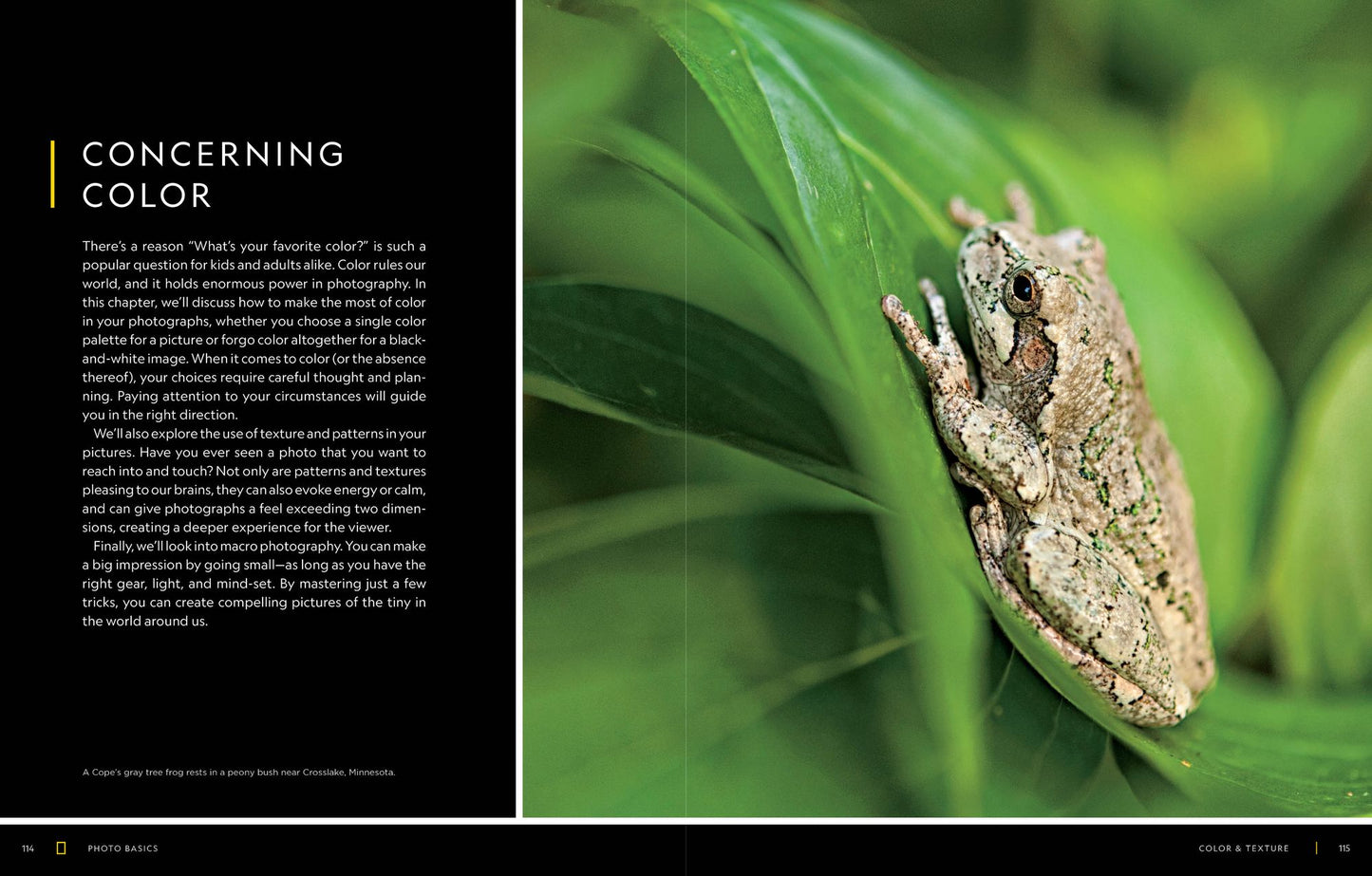 National Geographic Photo Basics: The Ultimate Beginner's Guide to Great Photography