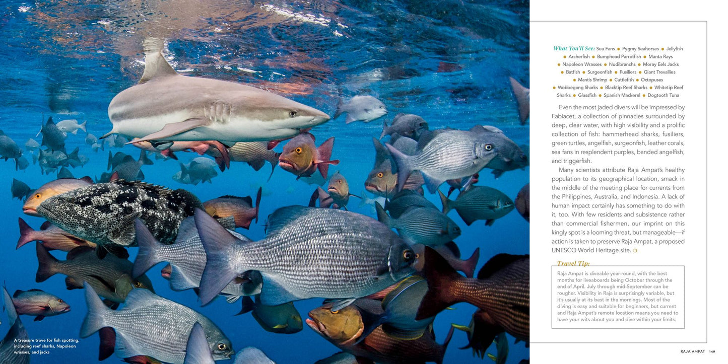 100 Dives of a Lifetime: The World's Ultimate Underwater Destinations