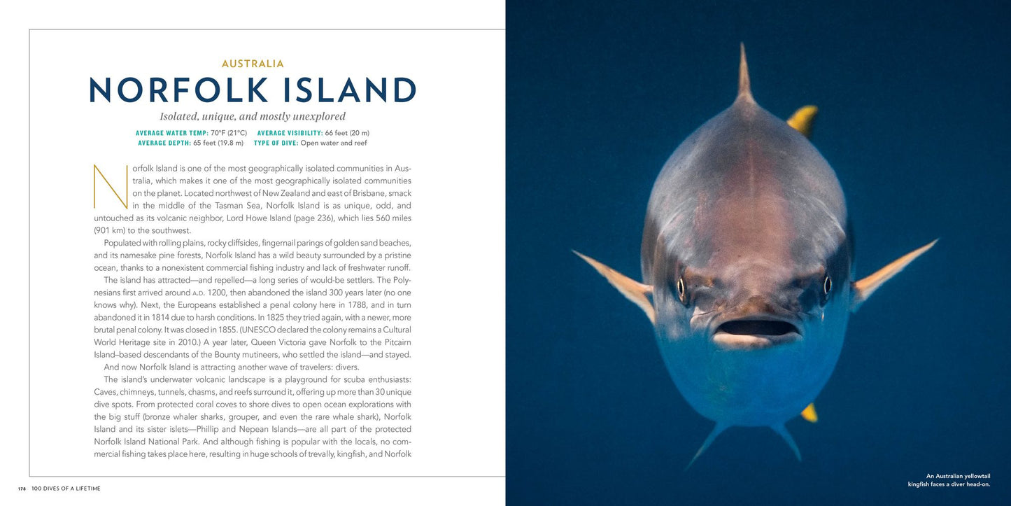 100 Dives of a Lifetime: The World's Ultimate Underwater Destinations