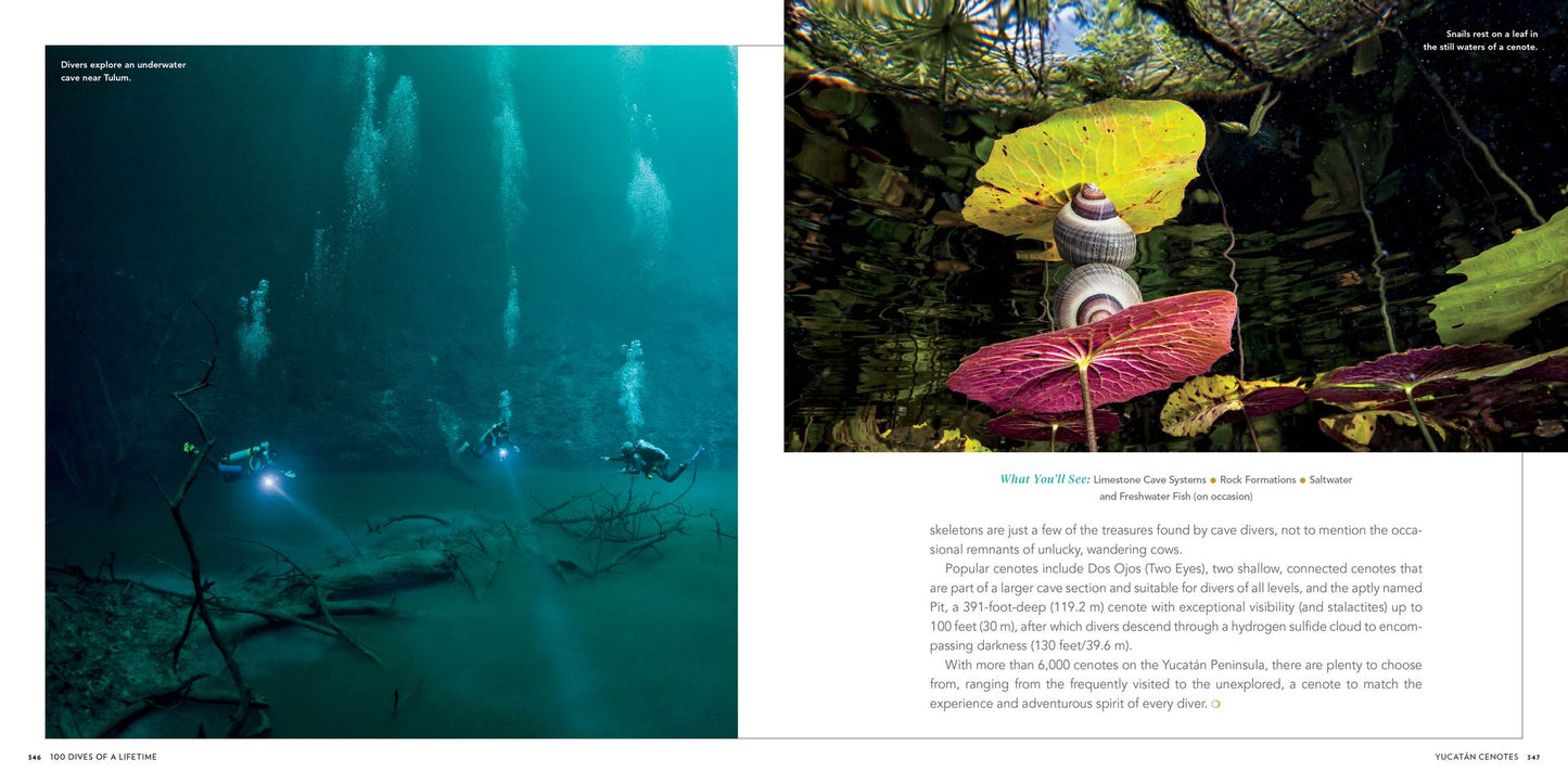 100 Dives of a Lifetime: The World's Ultimate Underwater Destinations