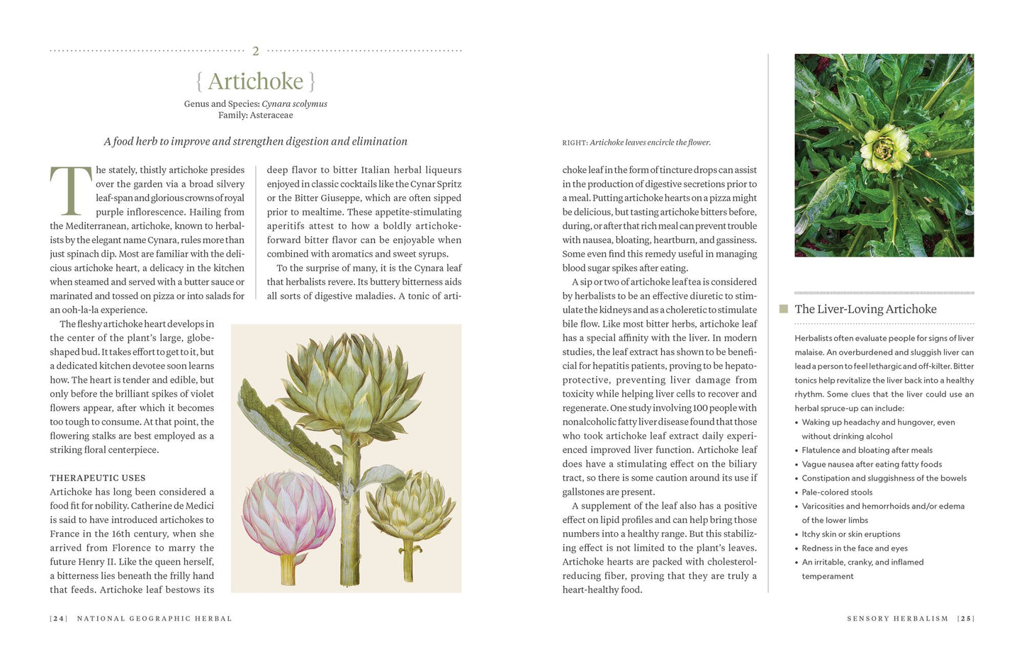 National Geographic Herbal: 100 Herbs From the World's Healing Traditions