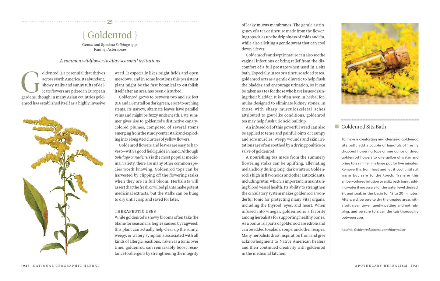 National Geographic Herbal: 100 Herbs From the World's Healing Traditions