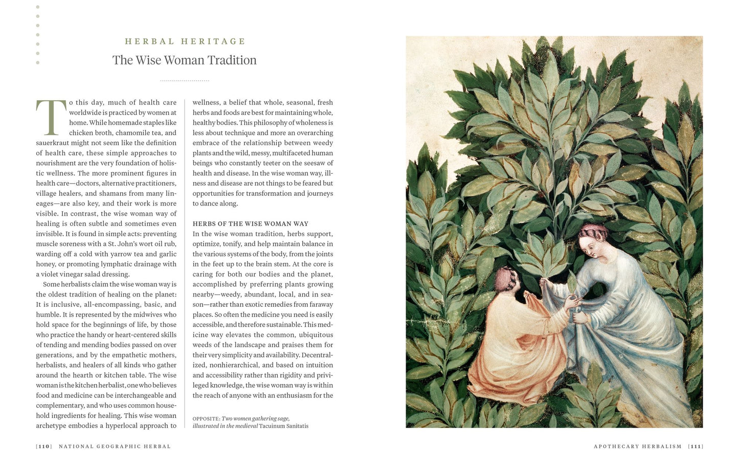 National Geographic Herbal: 100 Herbs From the World's Healing Traditions