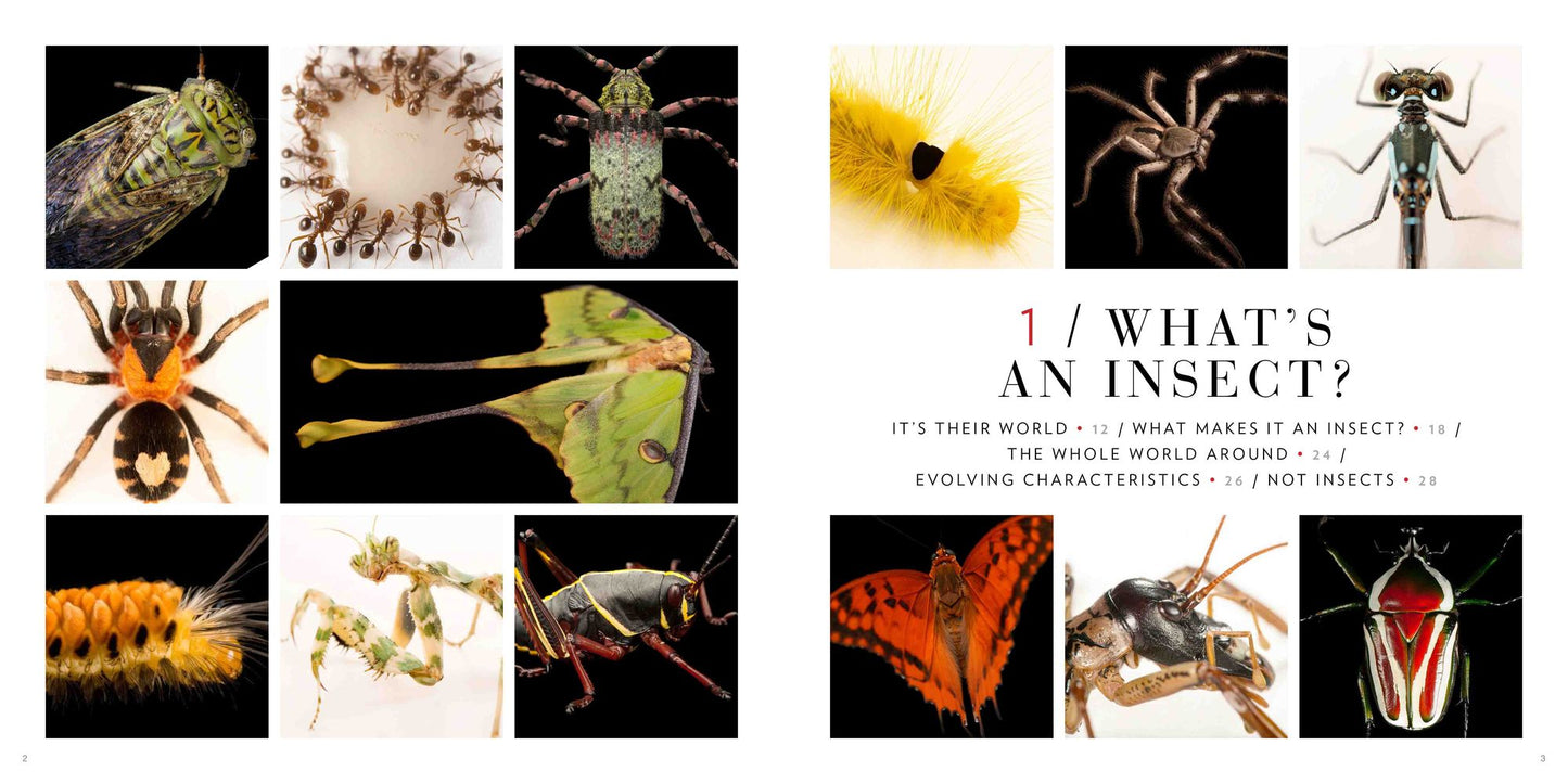 National Geographic Photo Ark Insects: Butterflies, Bees, and Kindred Creatures