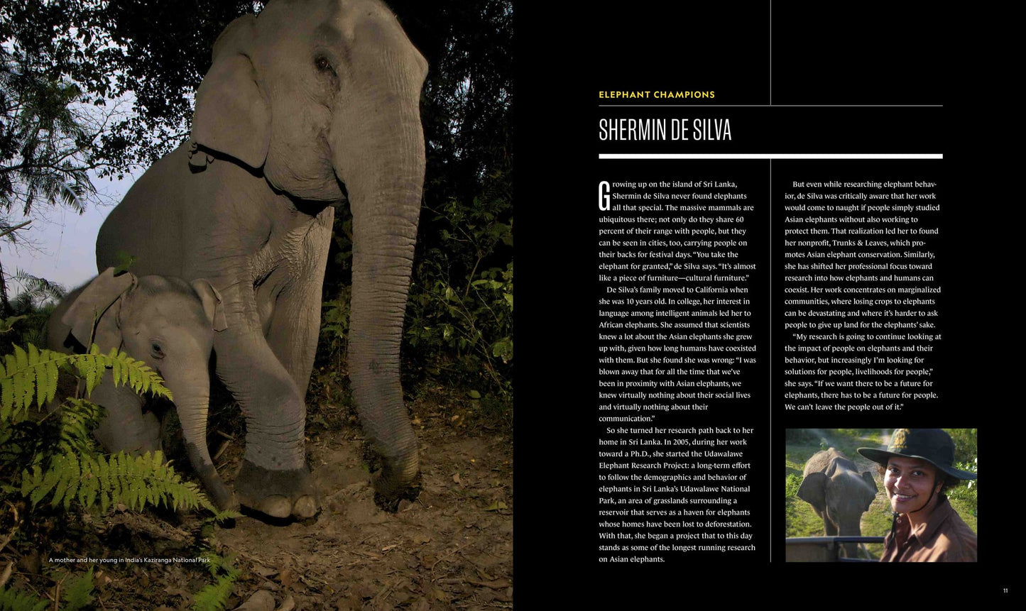 Secrets of the Elephants