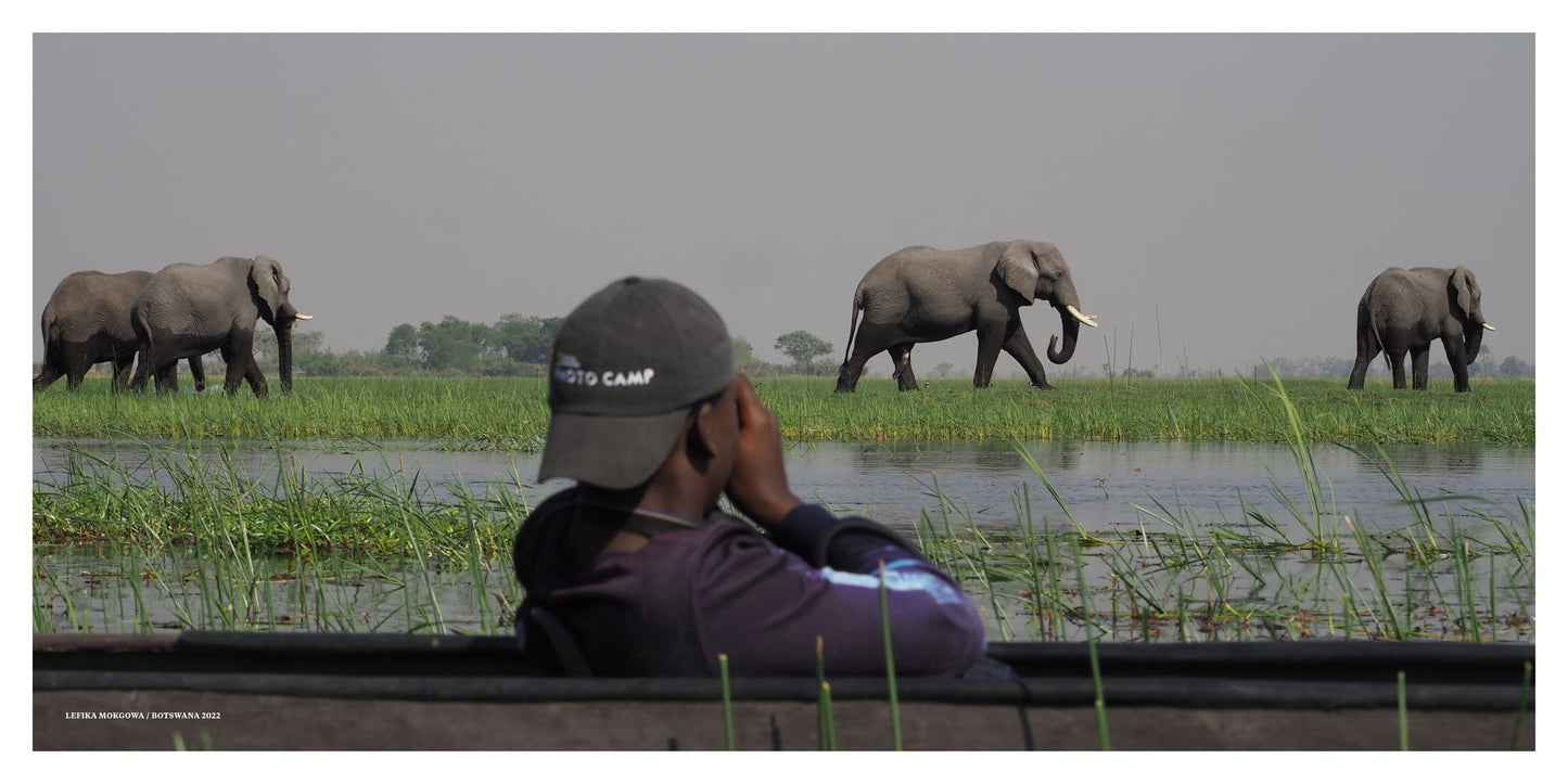 Photo Camp Stories: Our World Through the Lens of Young Photographers