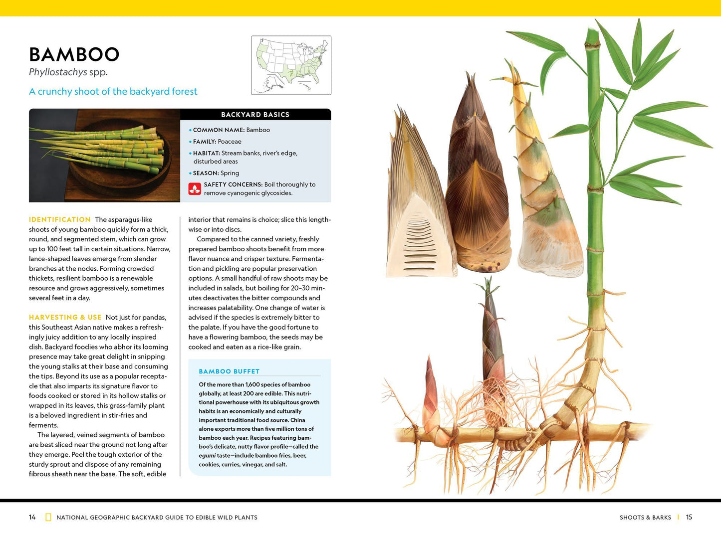 National Geographic Backyard Guide to Edible Wild Plants