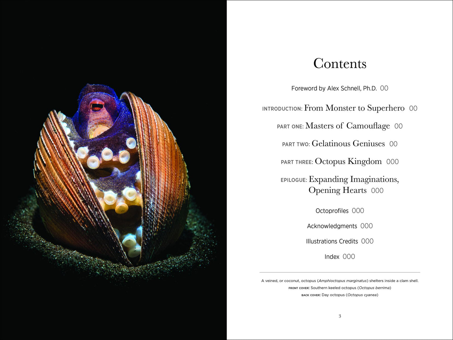 Secrets of the Octopus