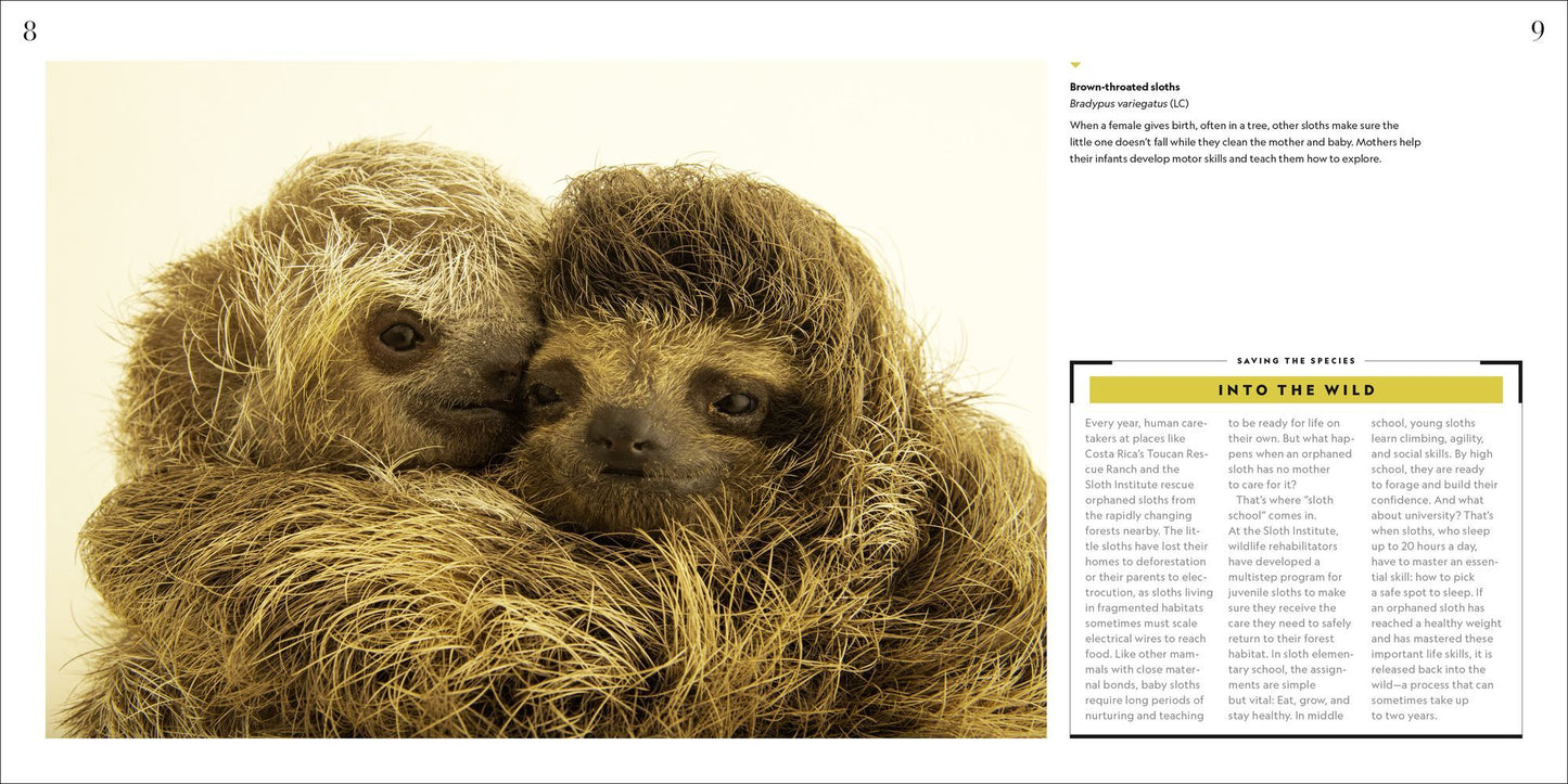 National Geographic Photo Ark Babies: Growing Up in the Animal World