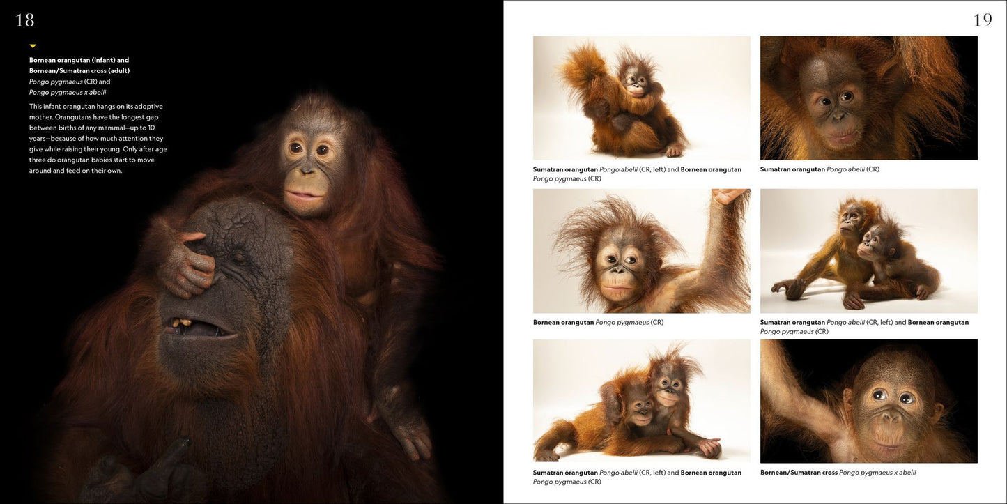 National Geographic Photo Ark Babies: Growing Up in the Animal World