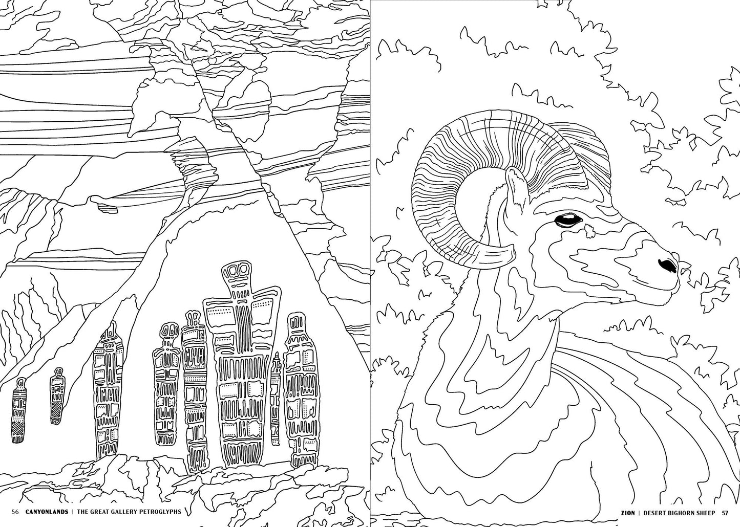 The National Parks: A Coloring Book