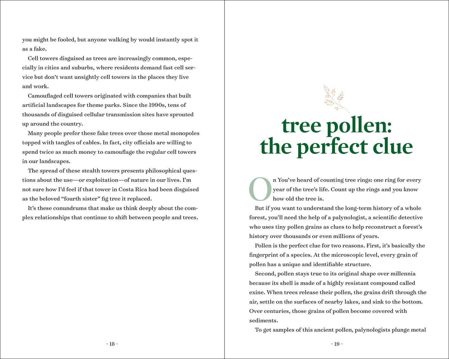 TreeNotes: A Year in the Company of Trees
